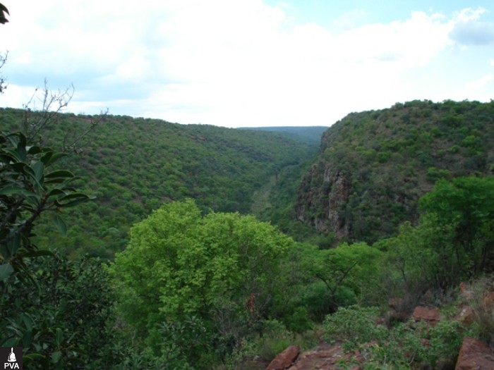 DSC00257-1.jpg