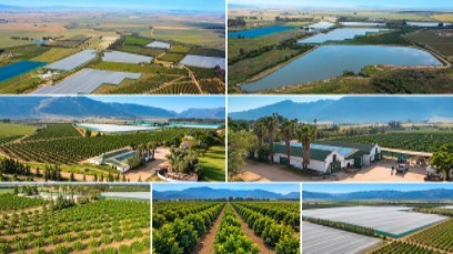 MORGAN CREEK GELUKSWAARTS (PTY) LTD (IN LIQUIDATION)