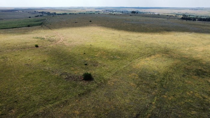 FARM WOLVENFONTEIN, 256, PORTION 0 AND FARM BATAVIA, 1329, PORTION 0
