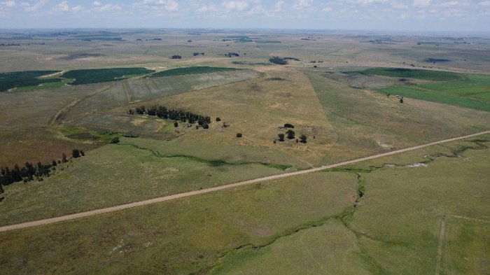 FARM KOLKIE, 1375, PORTION 5